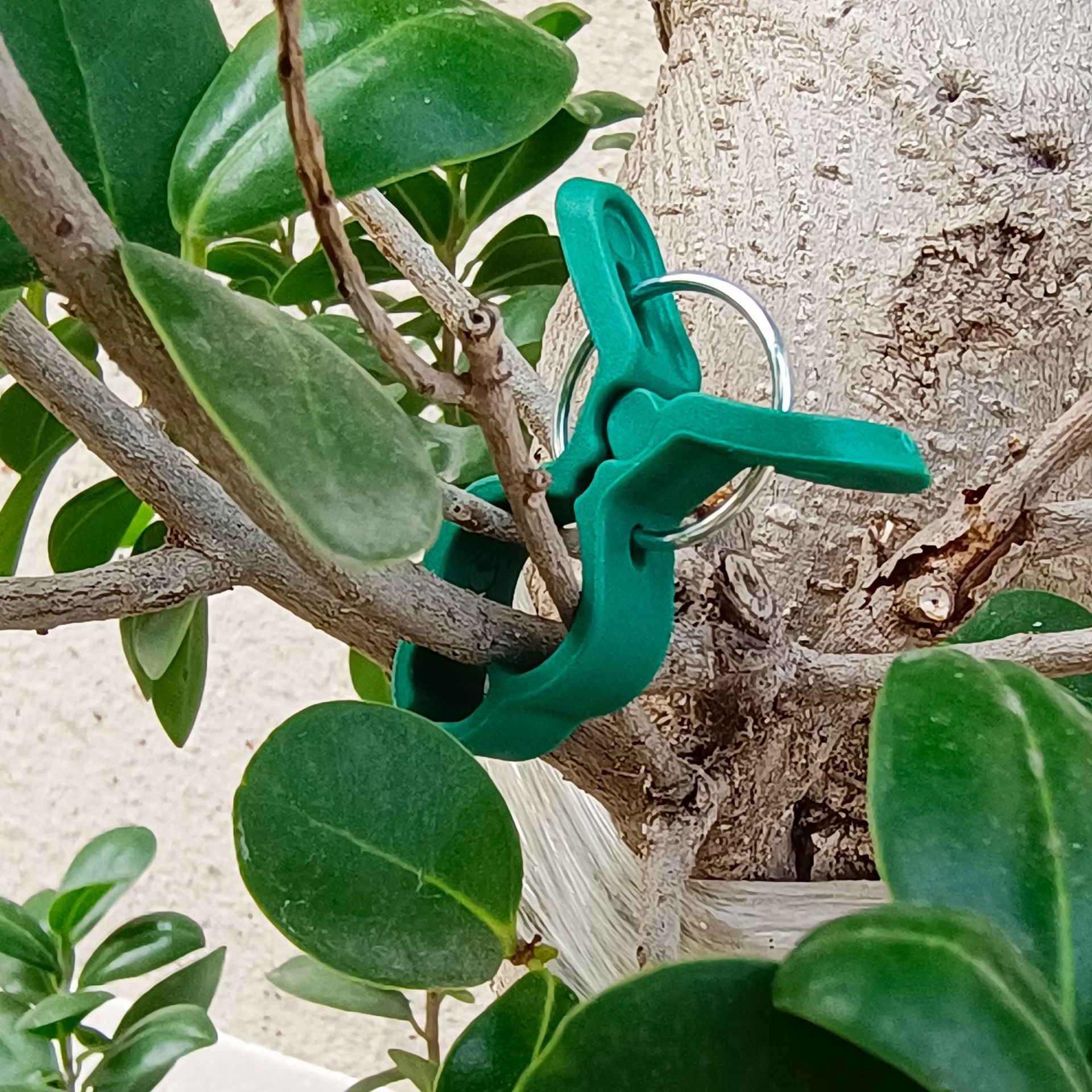 Cross-Border Gardening Flower Fixing Garden Tomato Plant Clips Plastic Clips Tools Factory Processing Custom Green Plants