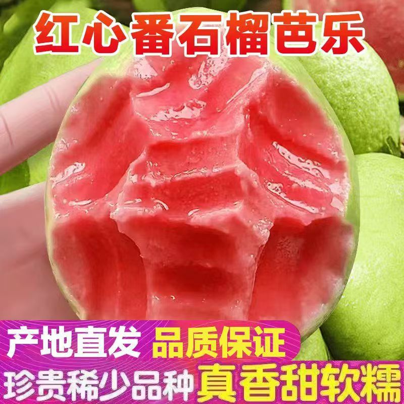 Свежая красная и белая гуава из Гуанси, сезонный тропический фрукт, мягкая и сладкая гуава с красной мякотью, специально для магазинов молочного чая