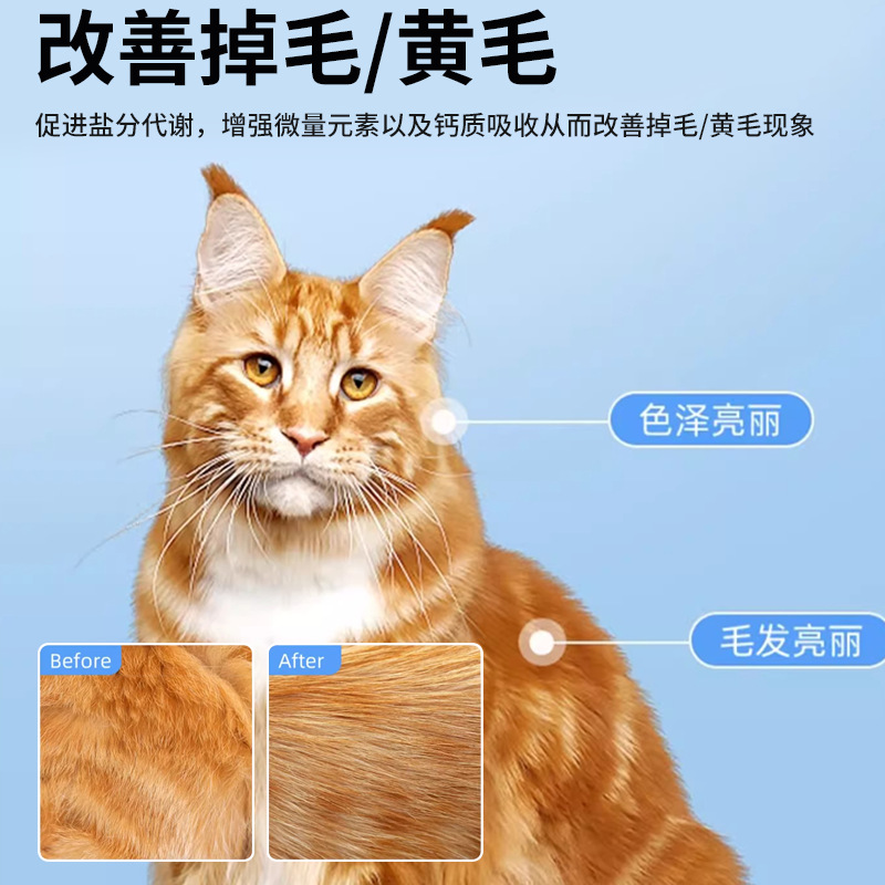 English Version of Cat Multivitamin Dog Nutrition Paste Pet-Specific Multivitamin B Cat Anti-Hair Loss