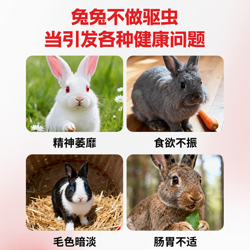 Dechiru Deworming Medicine for Rabbits, Coccidiosis Medicine for Dogs, Deworming Medicine for Cats with Diarrhea and Blood Serum Deworming Medicine