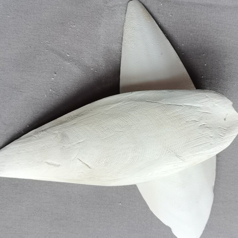 Source Wholesale Cuttlefish Bone New Product Trimming and Polishing Cuttlefish Pet Teeth Grinding Various Specifications Cuttlefish Bone