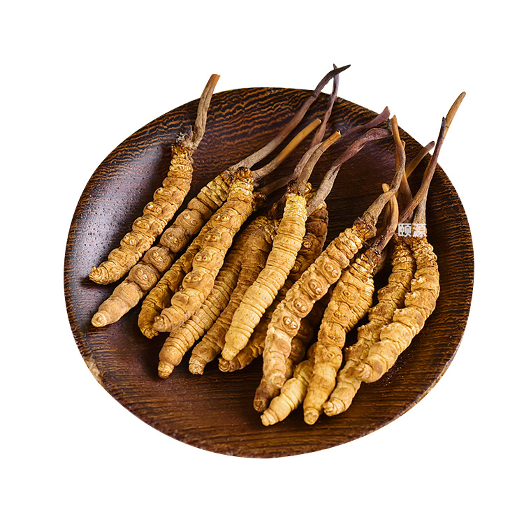 Freeze-Dried Cordyceps Sinensis in the First Time, High Altitude, Dry Cordyceps, Whole Unbreakable Grass, Full Specifications Factory Wholesale