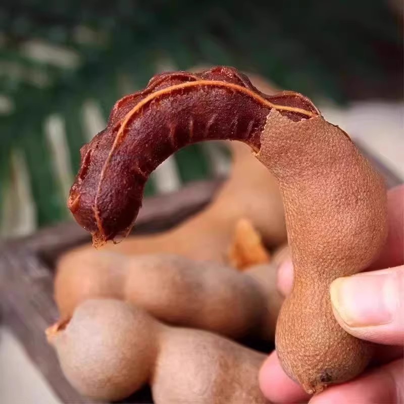 Directly Shipped from Yunnan, New Large-Sized Sour and Sweet Tamarind Fruit in Bags, Specialty Snacks, Sweet