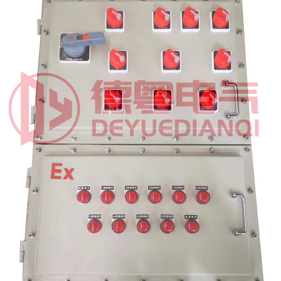 Explosion-proof power lighting distribution box maintenance power supply instrument outdoor IP65 waterproof stainless steel explosion-proof junction box