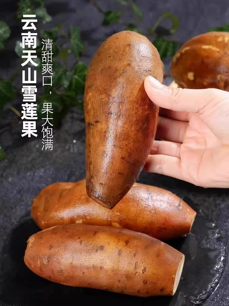 Yunnan Tianshan Snow Lotus Fruit 6kg Fresh Fruit Seasonal Red Heart Yellow Heart Snow Lotus Fruit for Pregnant Women Special Full Box Free Shipping