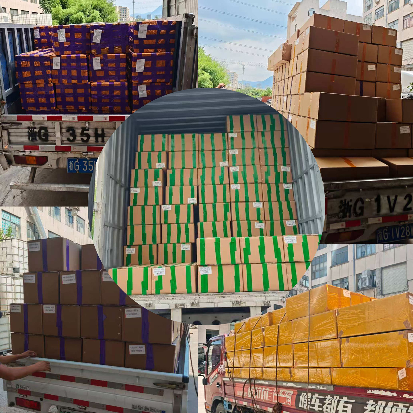 Camellia Laundry Beads Single Piece 7g Fragrance Beads Antibacterial Cleansing Softening Rose Fragrance Stain Removal Long-Lasting Fragrance