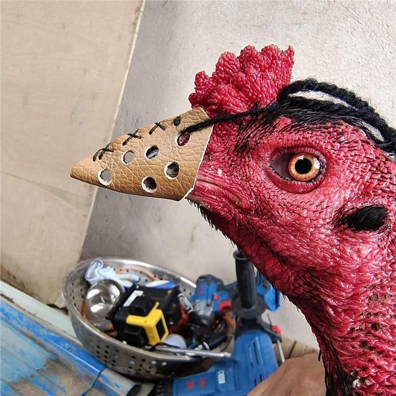 Снаряжение для борьбы с курицами, защитная кожаная намордник для предотвращения укусов и клевков, для двух куриц