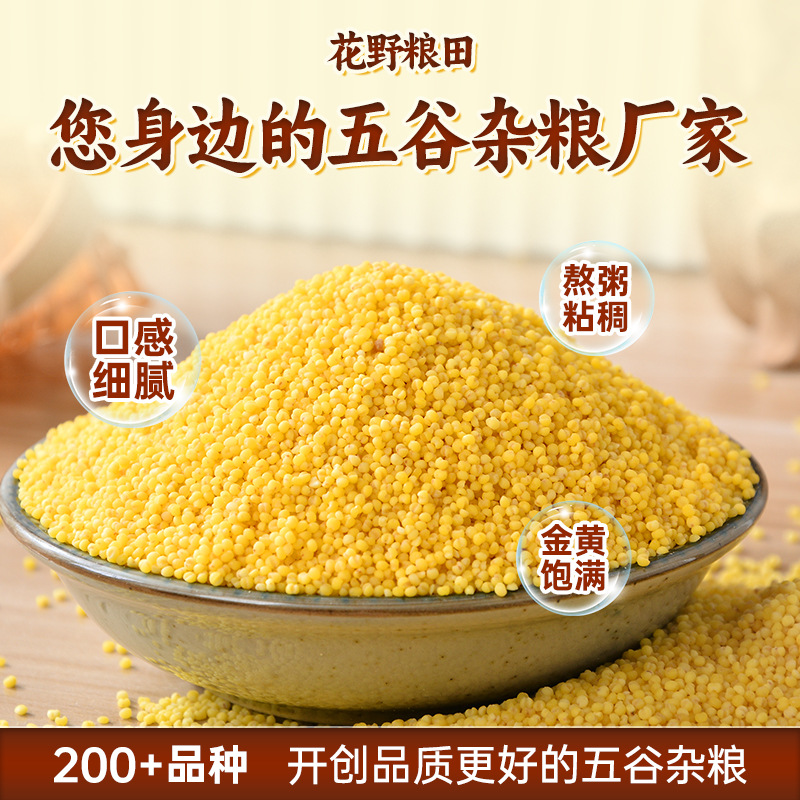 Fresh Yellow Xiao Mi Rice for Postpartum Care, New Rice for Porridge, Whole Grain Xiao Mi Rice, Wholesale from Xiao Mi Manufacturer