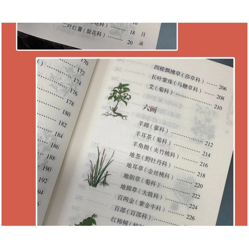 Practical Chinese Herbal Medicine 310 Kinds of Herbal Medicine Hand-painted Complete Record The Perfect Collision between Folk Wisdom and Modern Science