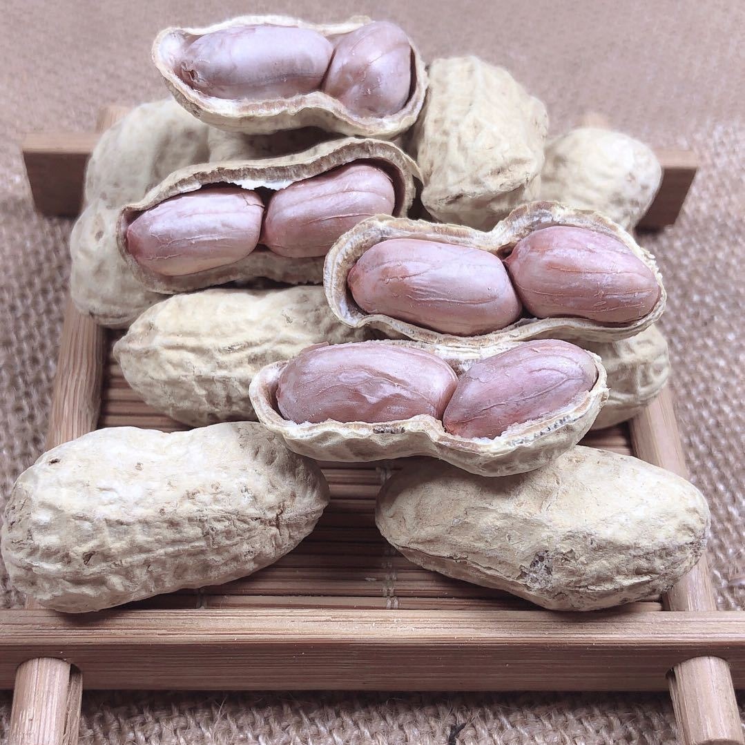 Longyan Shelled Boiled White Sun-Dried Garlic Five-Spice Crispy Peanuts 500g Per Bag Snack Nut Specialty Wholesale