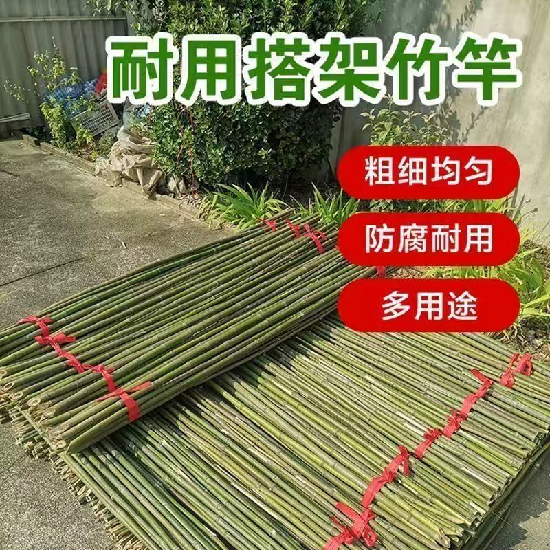 Bamboo Pole Vegetable Garden Trellis Bean Trellis Cucumber Trellis Climbing Trellis Flagpole Bamboo Pole Bamboo Climbing Support Small Bamboo Pole Wholesale