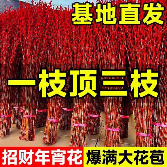 Настоящая свежая ветка серебряной ивы, сухой цветочный орнамент для интерьера, гидропонное зеленое растение, новогодний красный удачный букет, цветок в горшке, привлекающий удачу на Новый год