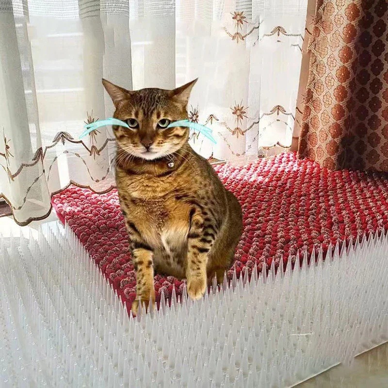 Cross-Border Supply of Pet Transparent Plastic Rain-Proof and Cat-Proof Mats Suitable for Indoor and Outdoor Pigeon and Squirrel Bird-Repelling Spikes