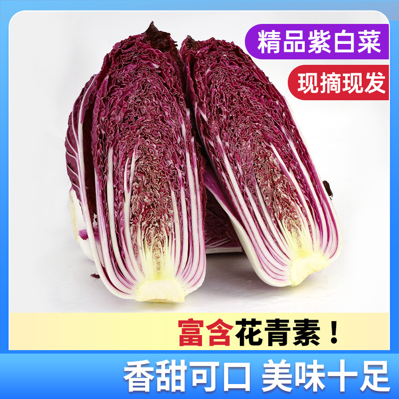 One-Piece Dropshipping Wholesale 15kg Purple Cabbage Heads Per Box, Non-Gmo, Greenhouse-Grown, Freshly Picked Purple Cabbage