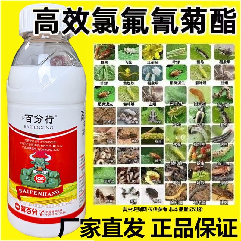 High-Efficiency Cypermethrin Fluorine Fruit Tree Flower Potted Vegetable Cabbage Aphid Special Insecticide Pesticide Genuine Medicine