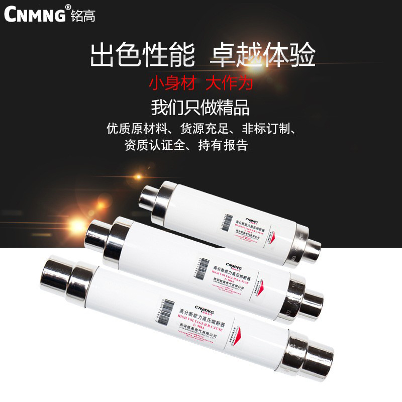 Load Switch with 10-12Kv Indoor High-Voltage Current-Limiting Fuse Xrnt1/Sfldj Transformer Protection 125A