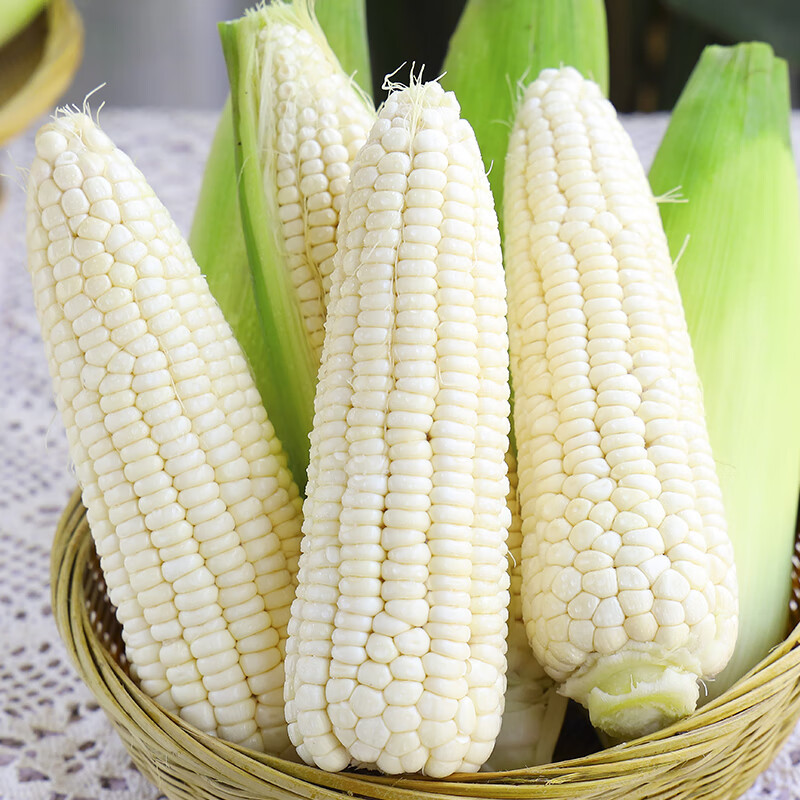 Свежая белая восковая кукуруза из Гуанси, Даифа, 3/5 цзин, свежая, нежная кукуруза в початках, сезонный овощ, клейкая кукуруза