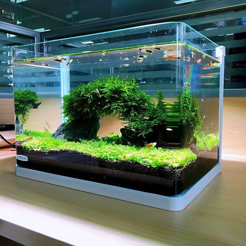Wholesale mini leaf fish tank foreground grass water grass seeds landscaping beautiful aquatic plant in stock large discount