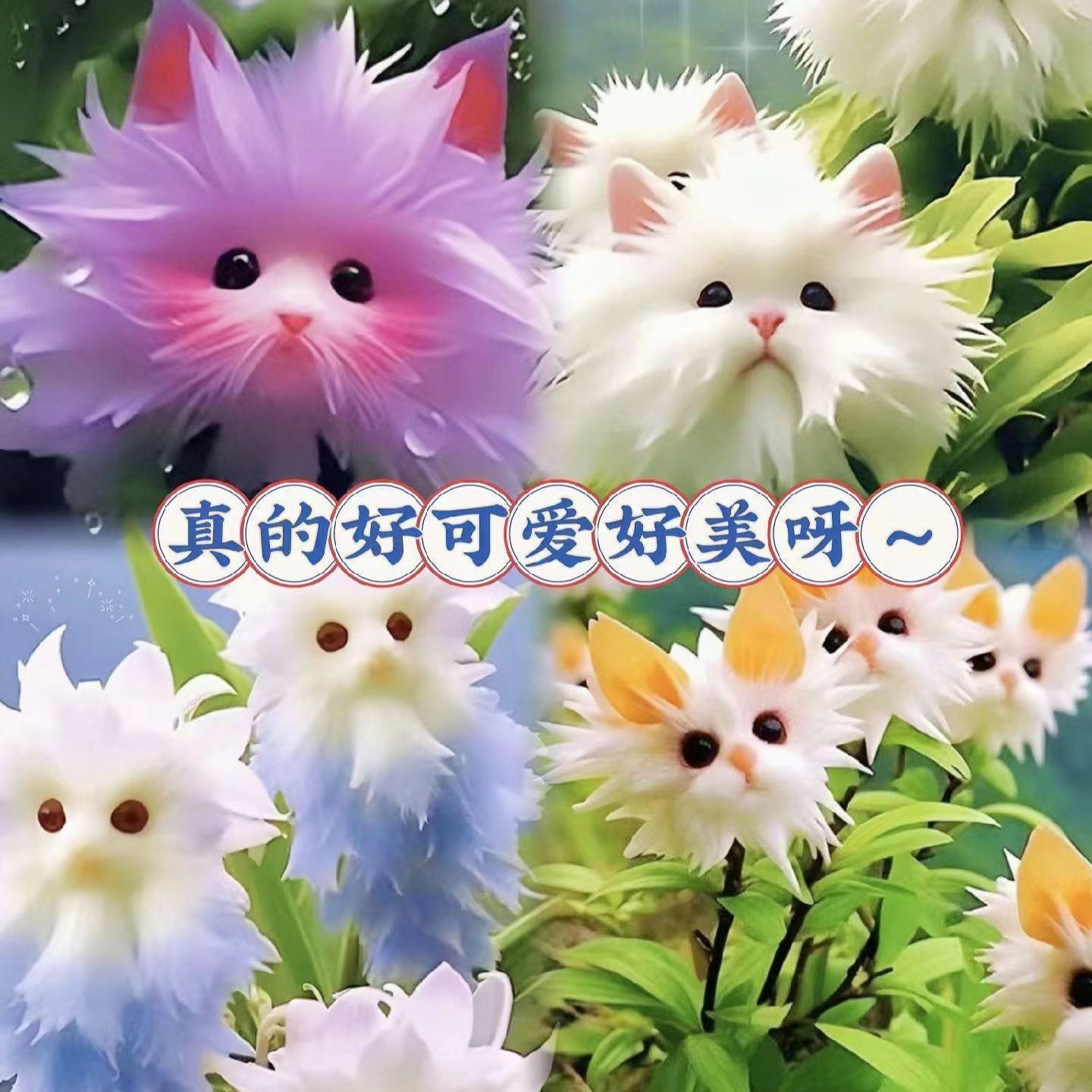 Популярная орхидея с большим лицом, наполняющая дом ароматом. Новый горшечный цветок с милым внешним видом и ароматом для удаления формальдегида