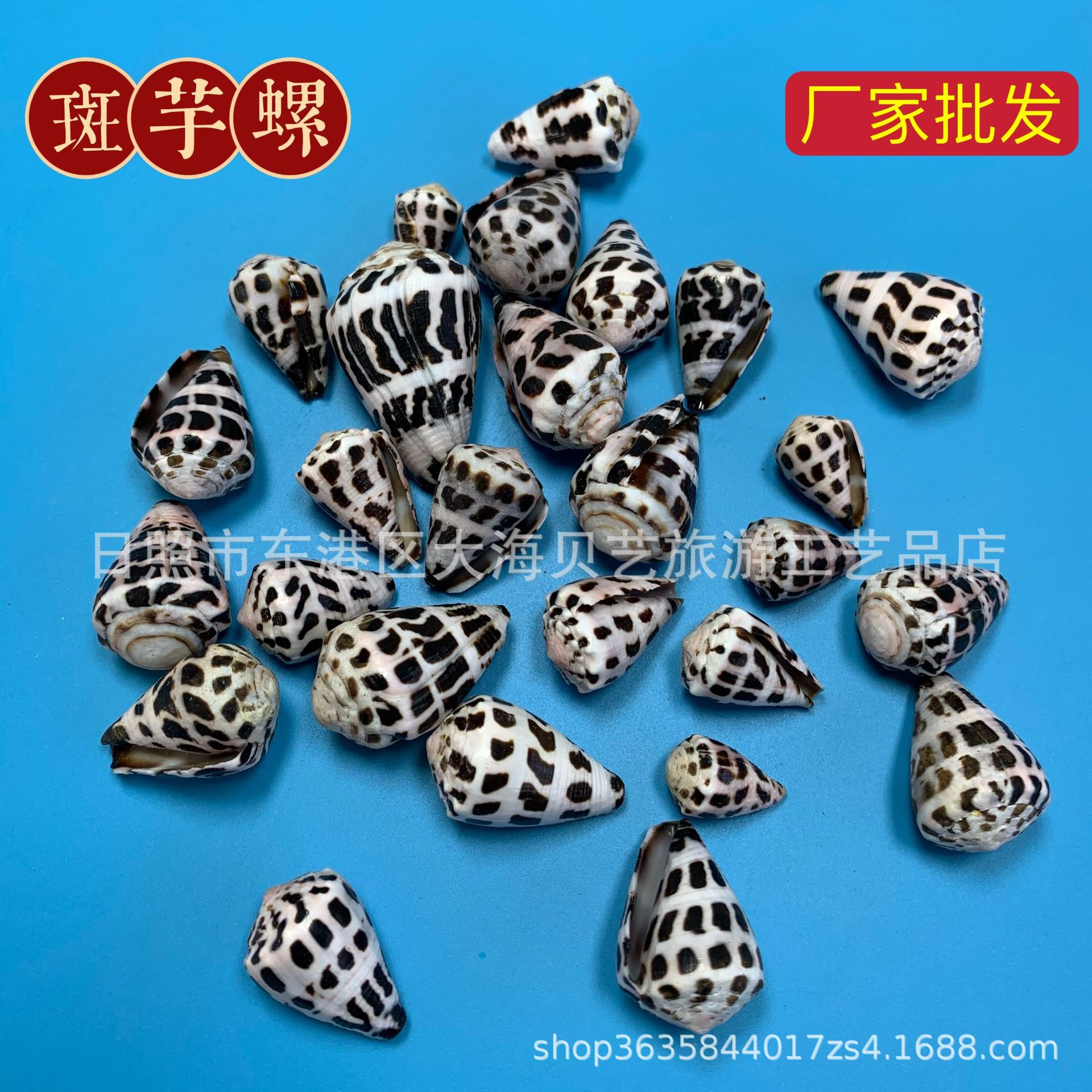 Черная точка, натуральная раковина конхи, декоративные изделия для аквариума