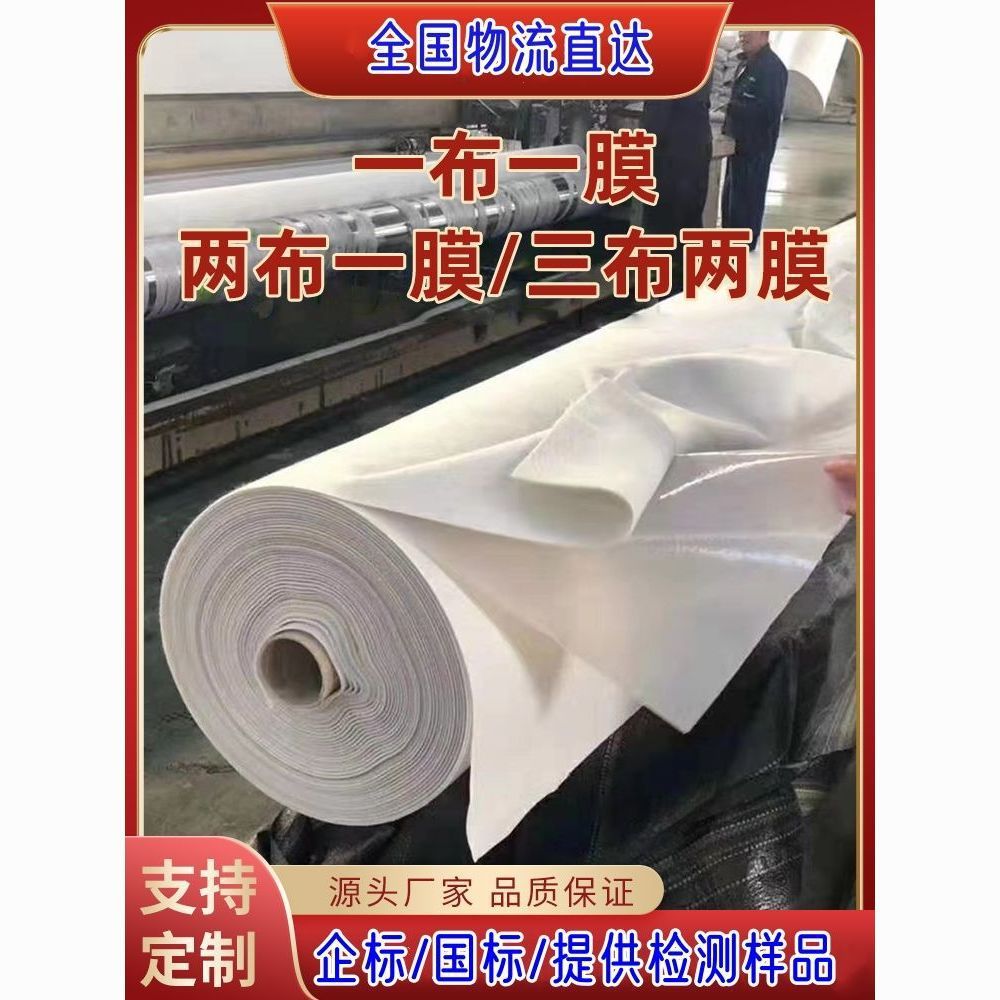 Bag Detection Composite Geomembrane Two Cloth One Film Waterproof Geotextile Fish Pond Anti-Seepage Membrane Reservoir Waterproof Cloth Others