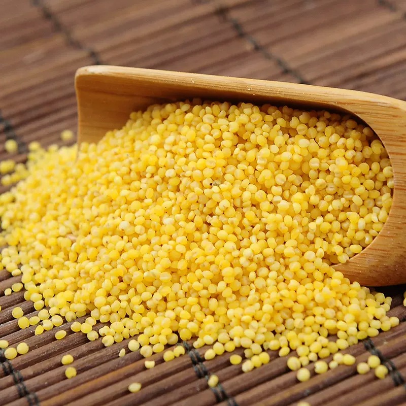 Northeast Black Soil Organic Yellow Xiao Mi 500g 0.5kg Vacuum Whole Grains Whole Grains New Rice Xiao Mi Porridge Manufacturer Wholesale