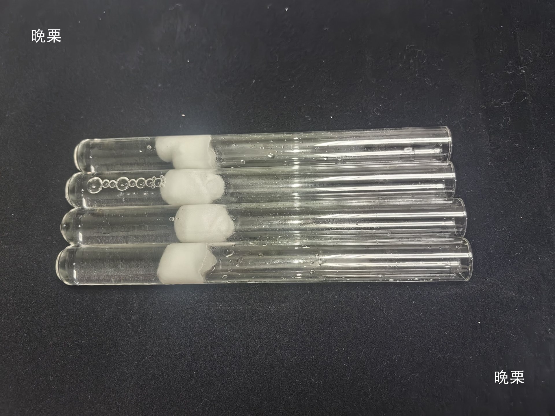 Ant Water-Blocking Sponge Water-Blocking Test Tube 151820 Caliber Water-Blocking Test Tube Is Clean, Hygienic and Recyclable
