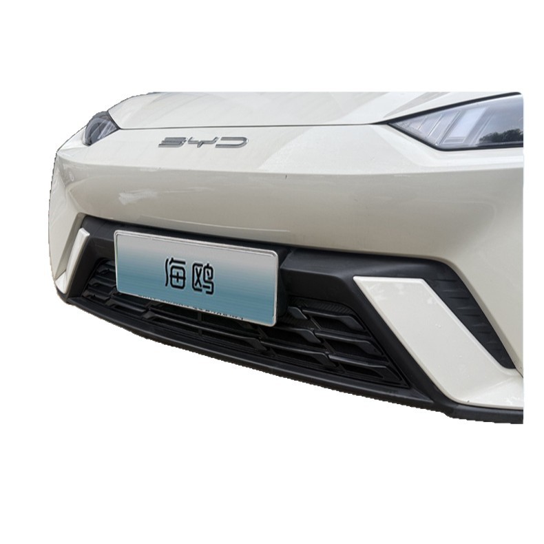 Suitable for 25 Byd Seagull Intelligent Driving Edition Insect-Proof Net Protective Cover Front Bumper Dust-Proof Mesh Appearance Modification Accessories