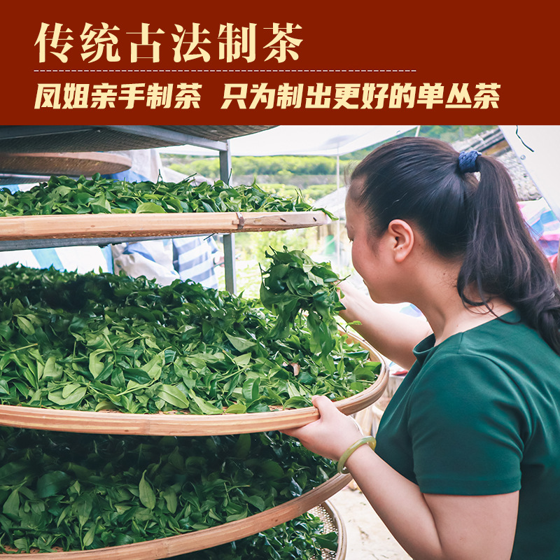 [Sister Feng’S Tea] 2025 New Year Tea Phoenix Dancong Tea Wudong Duck Poop Fragrance Song Dynasty Chaozhou Dancong Tea