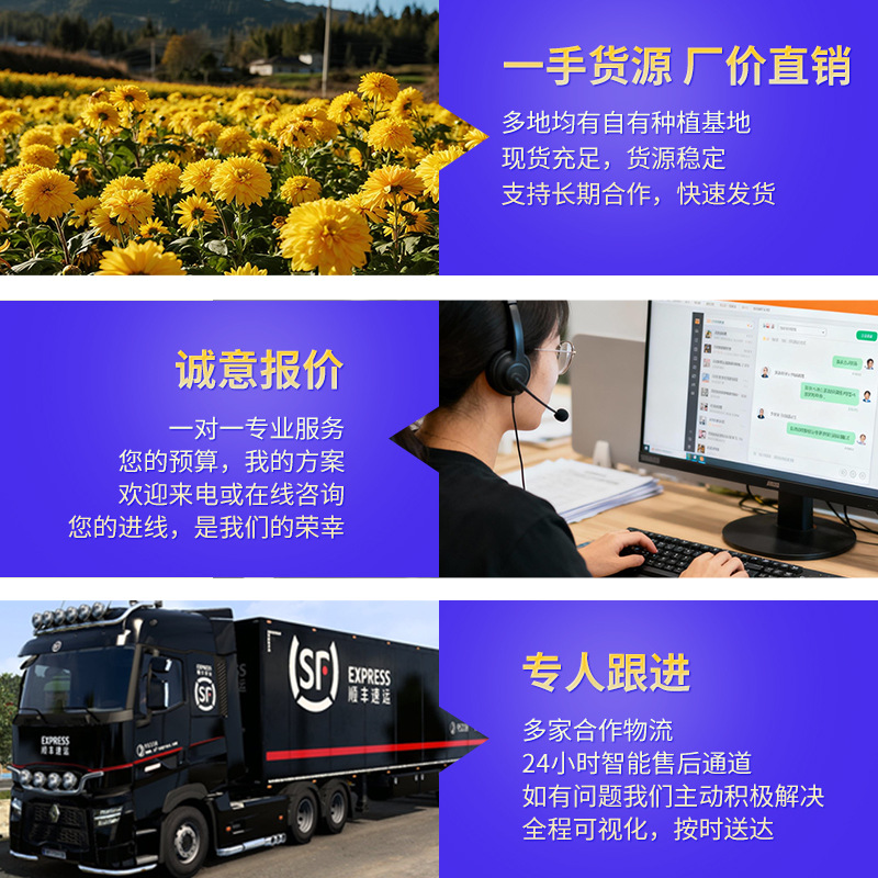 Manufacturer Wholesale Seedless Hawthorn Slices 500g Bulk Hollow Ring Tea Slices New Seedless Pitted Freeze-Dried Hawthorn Slices