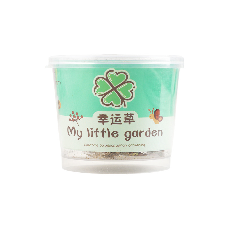 Planting Small Potted Gift Cat Grass Mint Seeds Desktop Green Plant Mini Creative Potted Sunflower Strawberry Planting