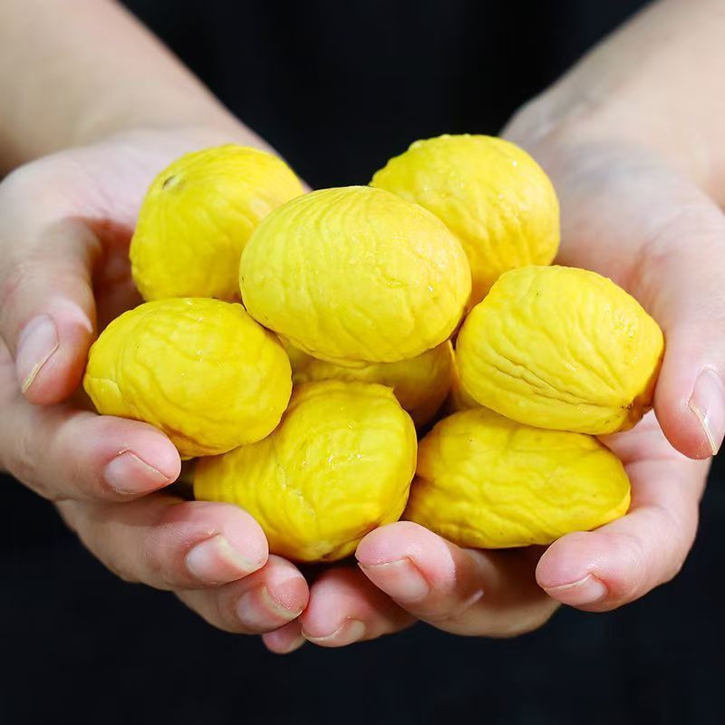 Newly Picked Authentic Fresh Chestnuts from Dandong, Freshly Roasted Large Chestnuts, Seasonal Wholesale