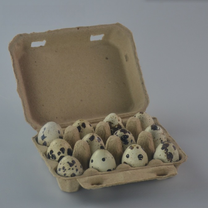 Поставщик бумаги ячейка для перепелиных яиц 12 ячеек для перепелиных яиц Устойчивый к ударам биоразлагаемый контейнер для перепелиных яиц