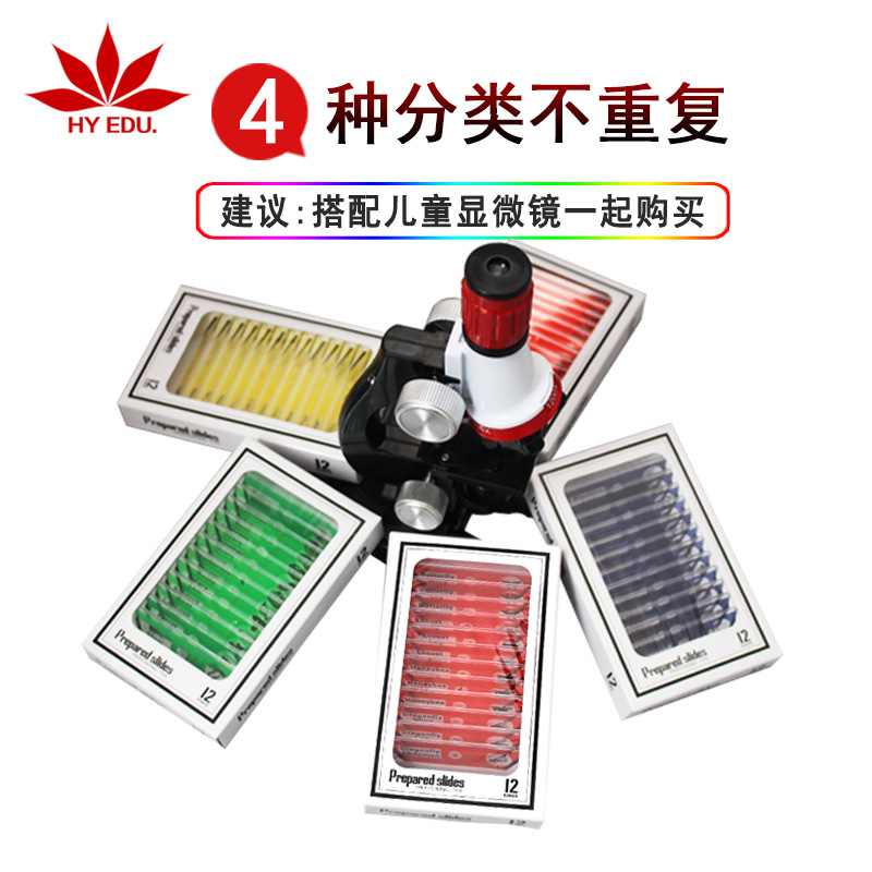 Red Apple Teaching Instrument Biological Slice Red, Yellow, Blue and Green Four-Box Set Plastic Colorful Comprehensive 48-Piece Set