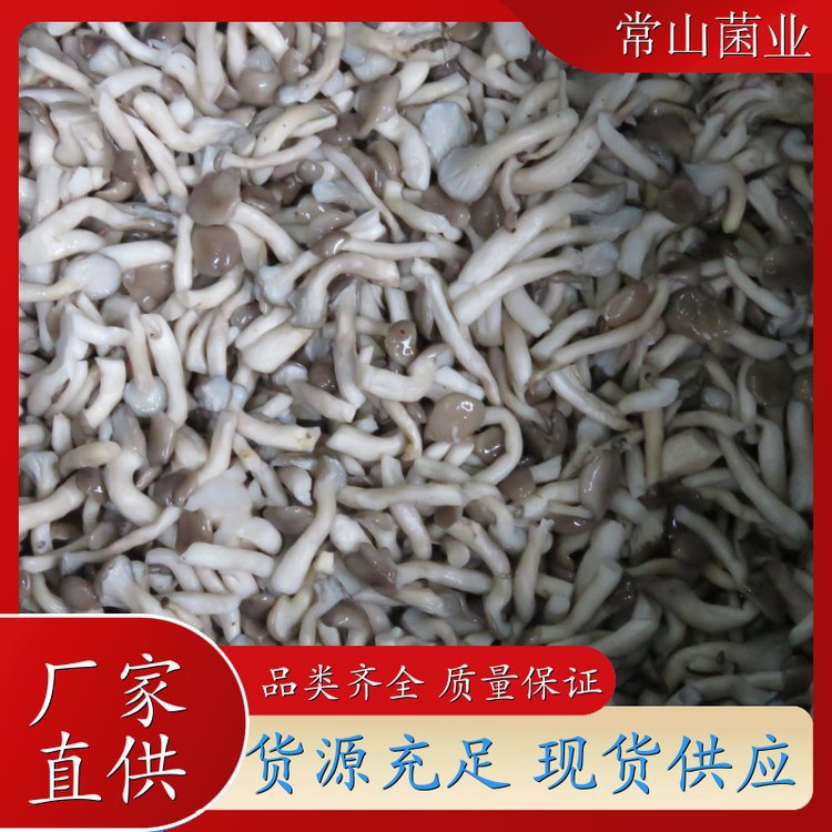 Соленый гриб Цзи, карманный гриб, мелкий устриц, питательный суп для горячего горшка и приготовления, оптовый производитель
