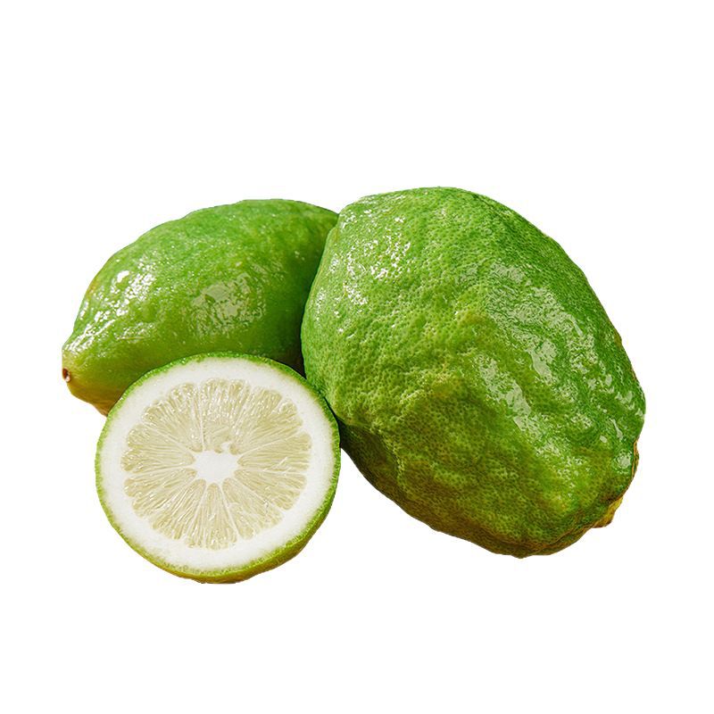 Guangdong Perfume Lemon Fresh Wild Green Lemon Seedless Large Fruit Special Fruit Seasonal Fruit Milk Tea Shop Exclusive