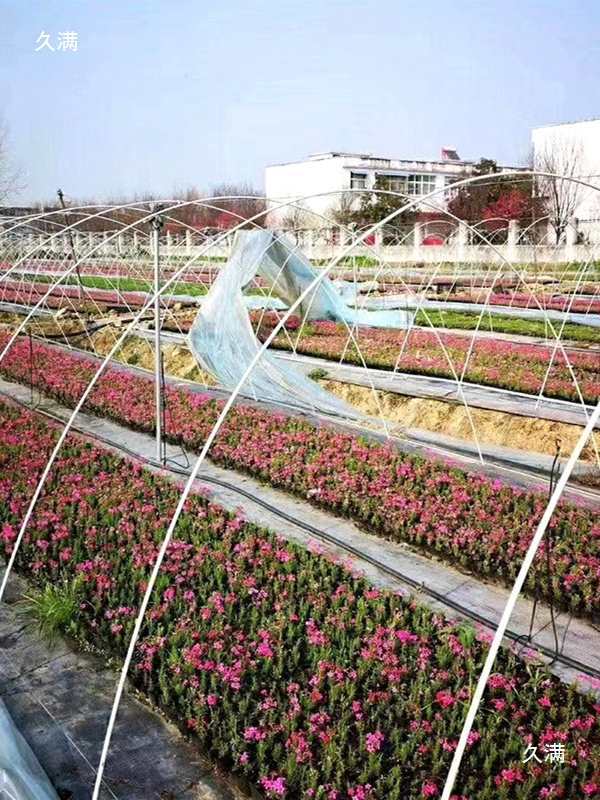 Greenhouse Insulation for Growing Vegetables, Small Arch Shed, Solid Fiberglass Pole Arch Shed, Elastic Rod Support Rod for Vegetable Farmers