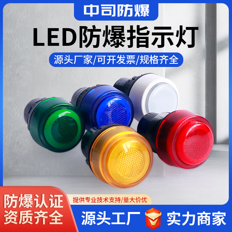 Взрывозащищенный сигнальный светильник из нержавеющей стали 304, открытие 30 мм, светодиодный взрывозащищенный индикаторный свет, 24V-380V