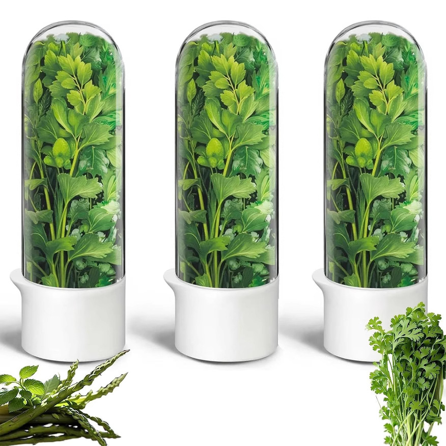 Кросс-бодерная новая чаша для хранения ванили, вторая генерация, большой объем