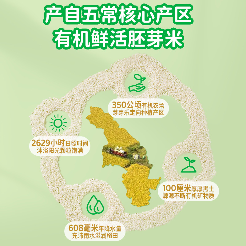 Yaya Le Organic Germ Rice Bricks for Porridge, Nutritious Cereal for Children, Complementary Food, Porridge Rice, Rice Manufacturer's Distribution