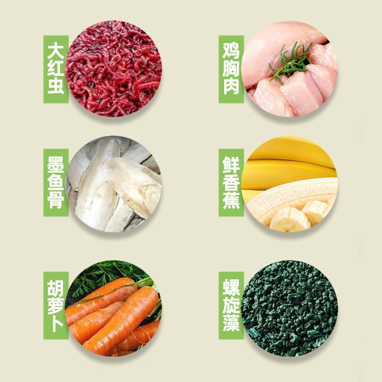 Crazy water grass baby turtle food turtle seedlings open food small turtle Brazilian turtle grass turtle feed general factory wholesale