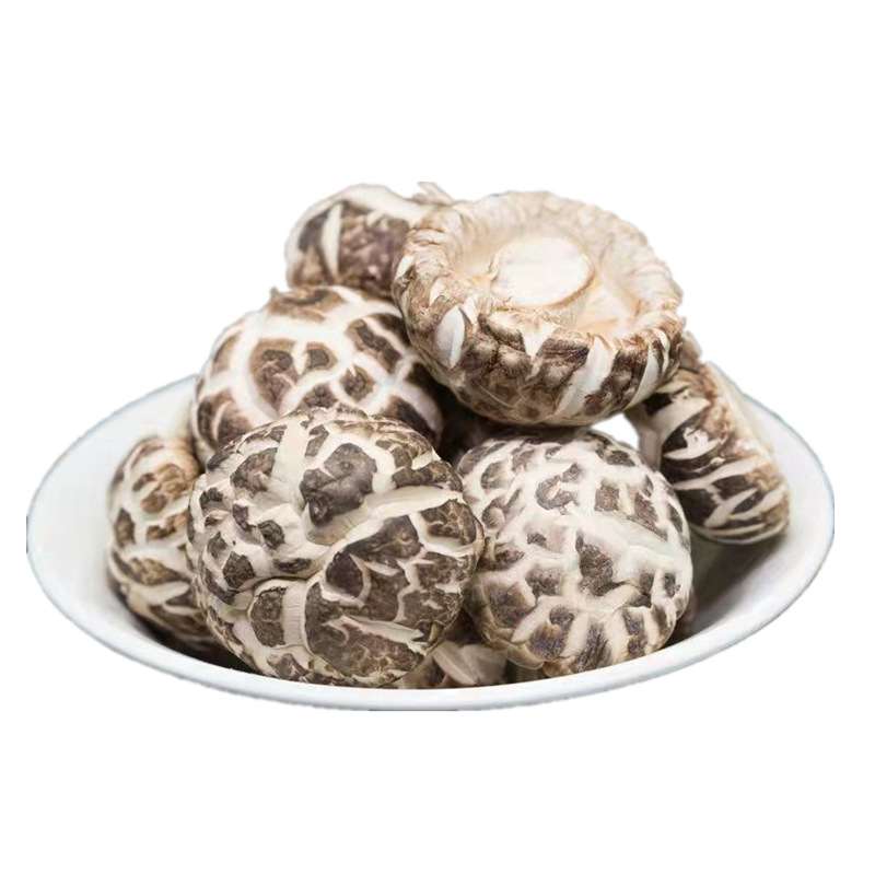 New goods cut foot mushroom origin supply sufficient local specialty dry goods mushroom spring planting mushroom