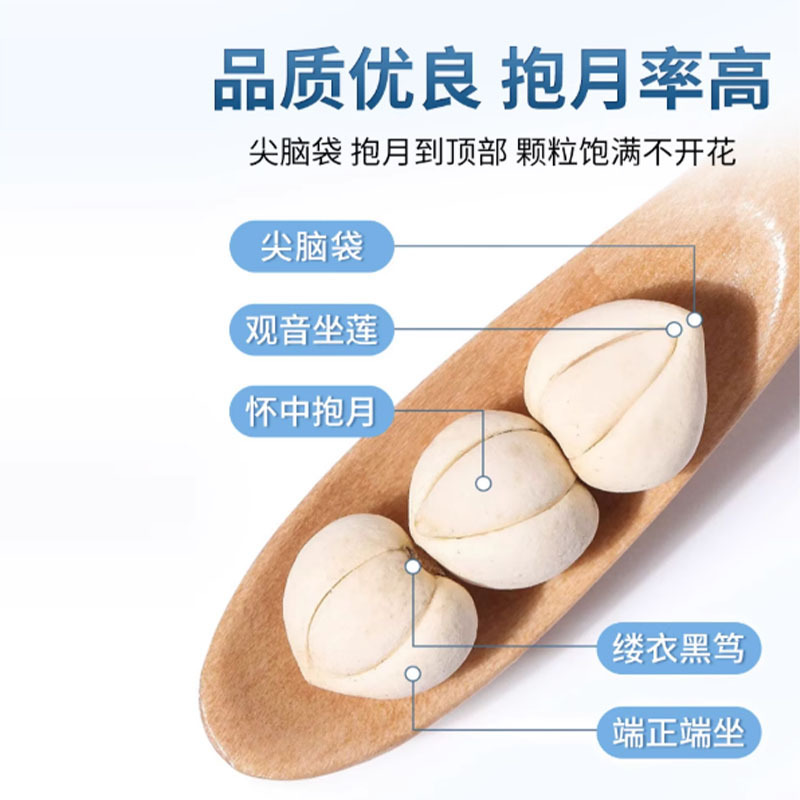 Premium Fritillaria 100g Canned Spot Wholesale Artificially Selected Sulfur-Free and Fragrance-Free Fritillaria Granules Drop Shipping Ss