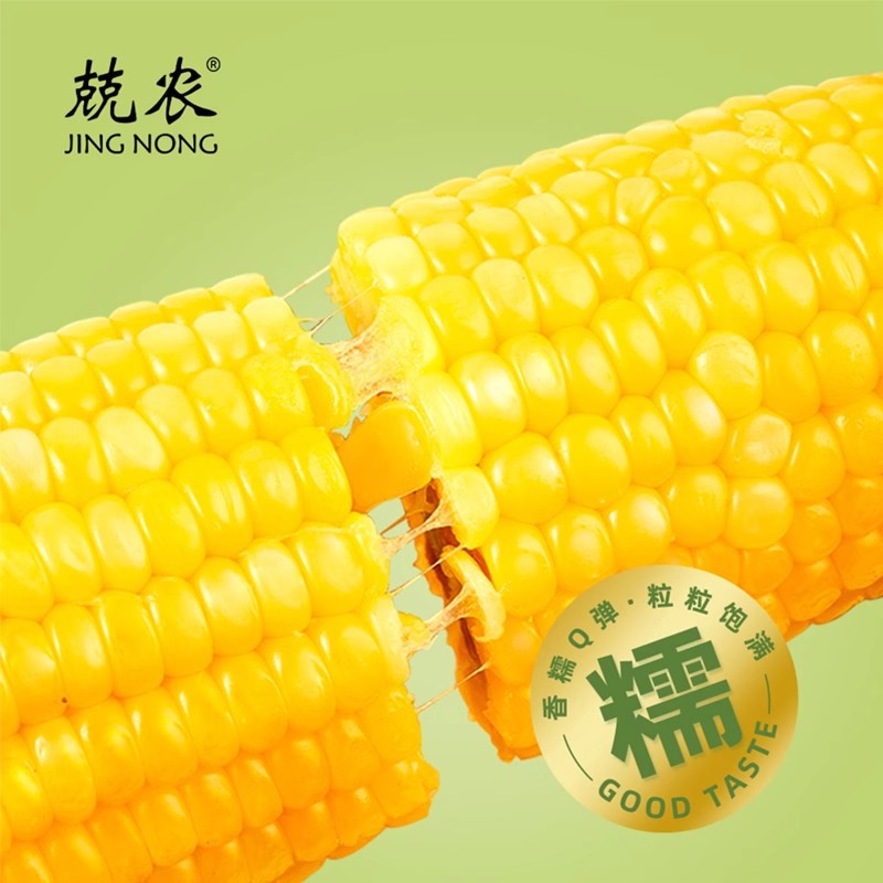 Jingnong Heilongjiang 47 degrees north latitude yellow waxy corn white waxy corn sweet corn black waxy corn 200g vacuum packaging