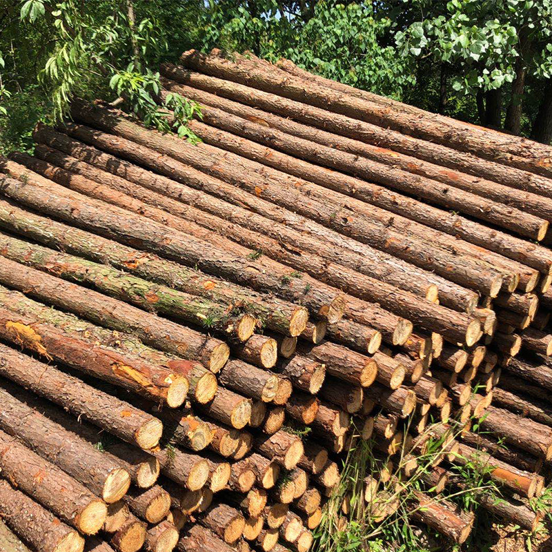 Wood piling woodworking ground River embankment fir pile slope protection renovation wood pile factory direct wholesale piling wood