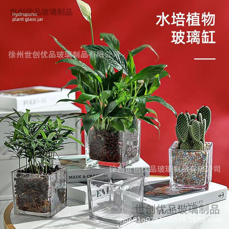 Simple Hydroponic Flower Pot Square Glass Fleshy Vase Transparent Green Flower Water Plant Utensil Turtle Tank Square Tank