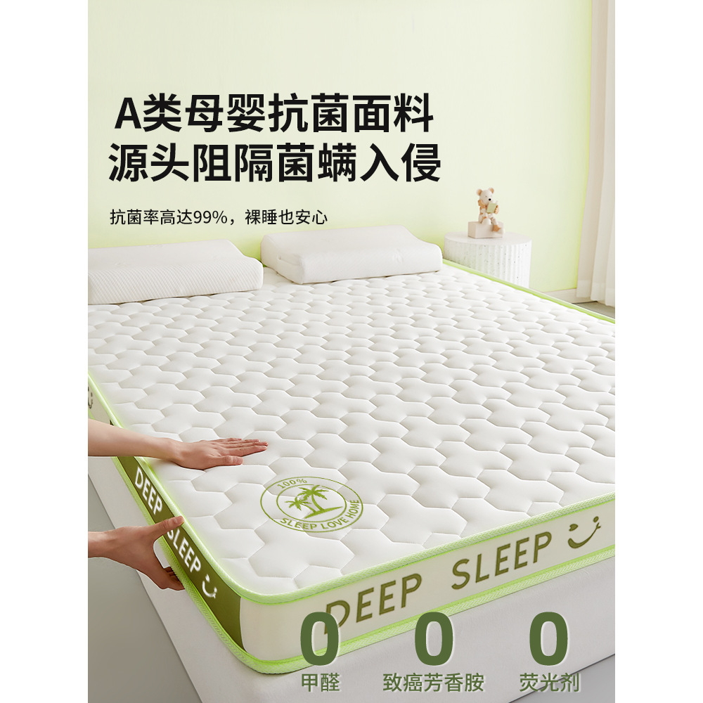 Latex Memory Foam Mattress Cover Home Cushion Bedroom Dormitory Student Single and Double Tatami Sponge Mat