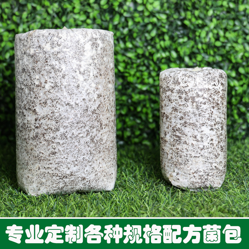 [Wholesale of Small E-Commerce Packages] Mushroom Planting Packages, Mushroom Packages, Flat Mushroom Home Planting Potted Plants, Self-Planting Home Indoor