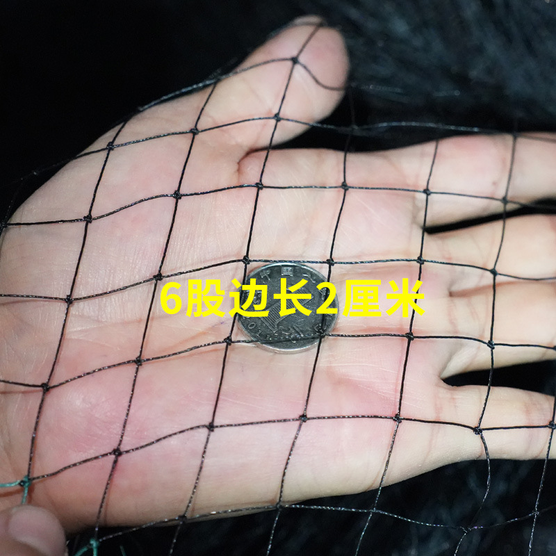 Black High-Quality Fishing Net, Poultry Breeding Net, Chicken Net, Sports Net, Agricultural Tennis Court Net, Export Nylon Net