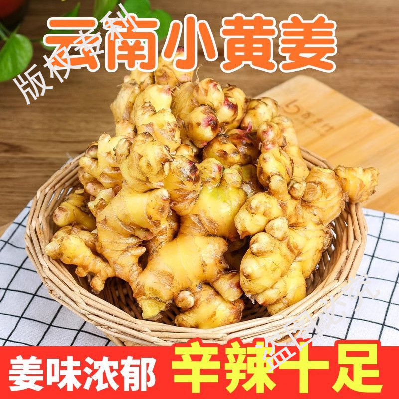 Authentic Yunnan Ginger 500g Wholesale Fresh Spicy Ginger Small Ginger Root Ginger Dried Ginger Farm Chopped Ginger